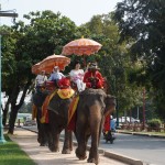 Elefanten führen Touristen durch die Stadt